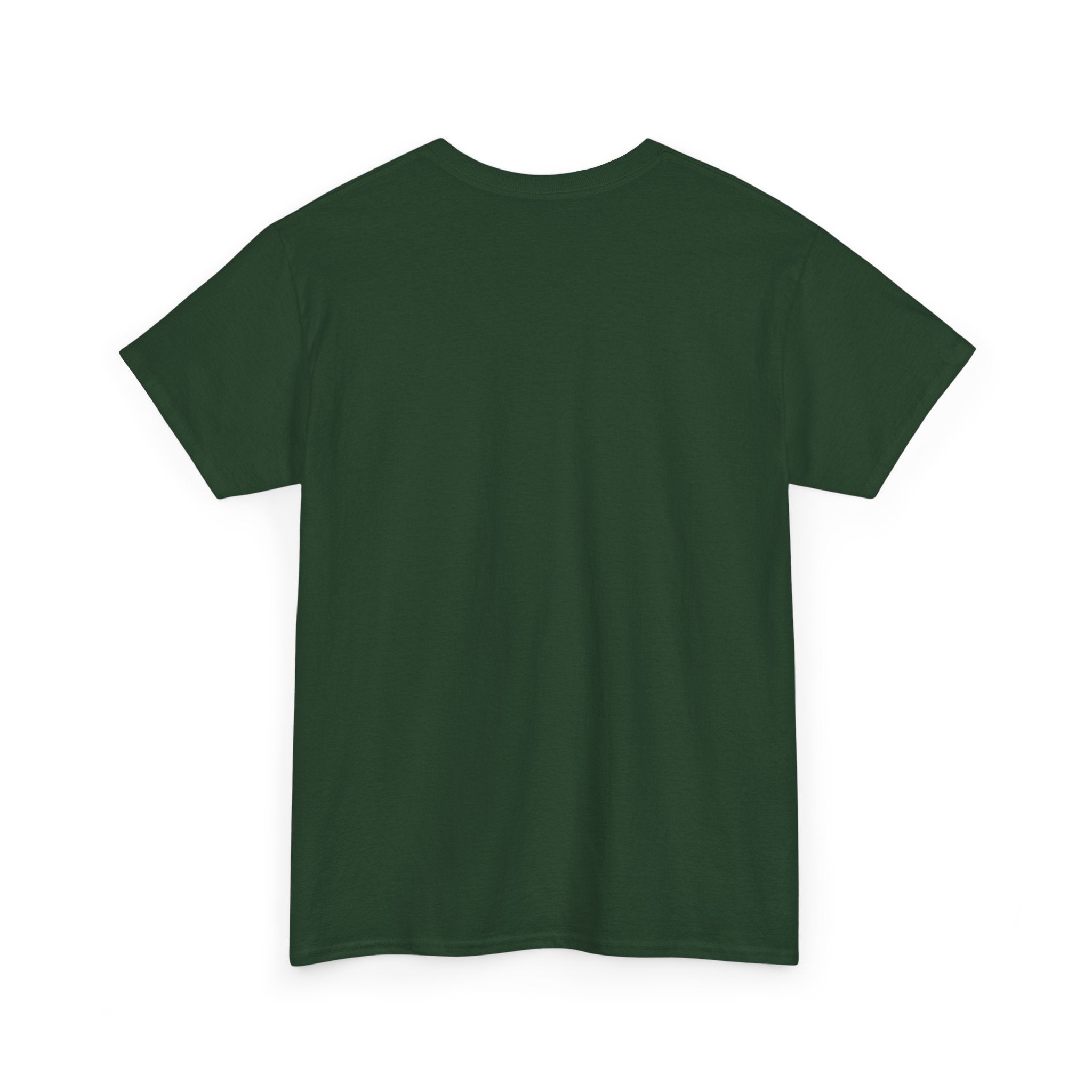 USA 250th Independence Graphic Tee — American Flag Bicentennial Celebration T-Shirt