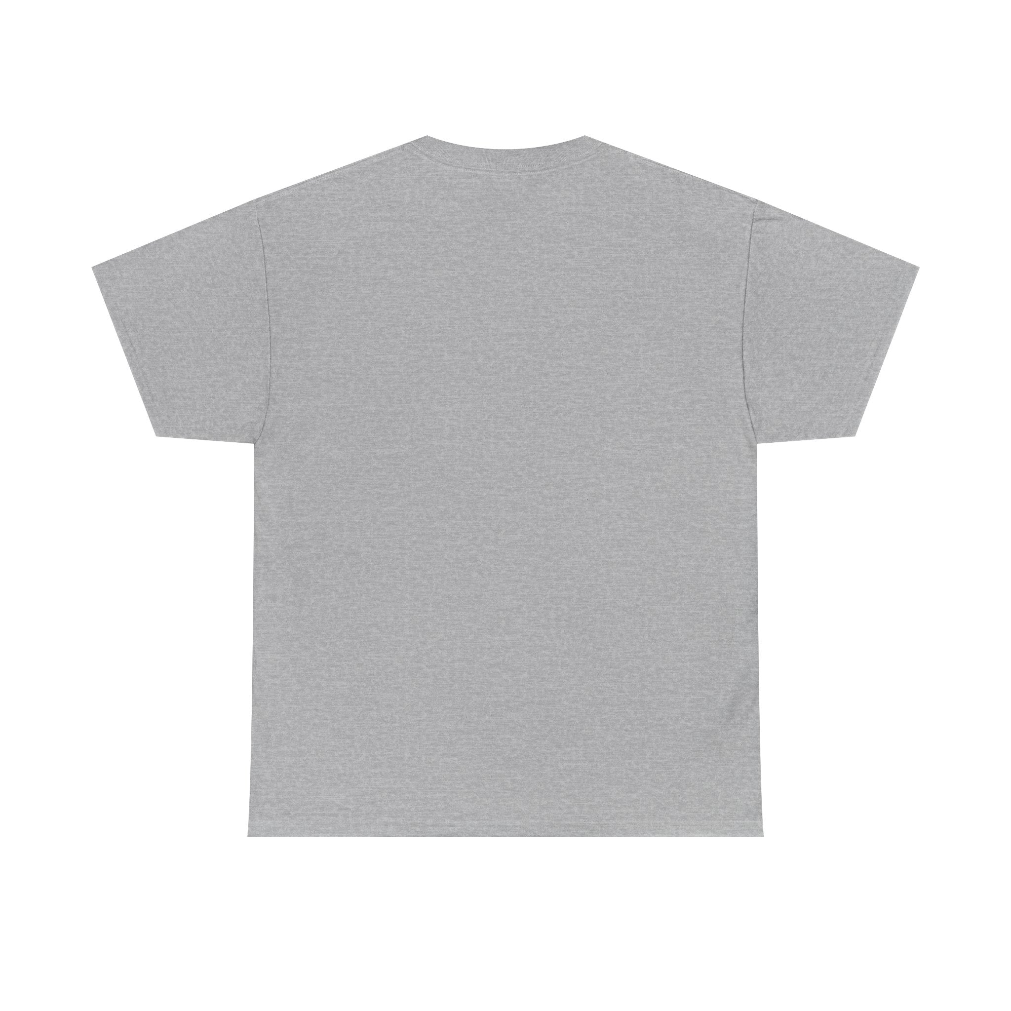 USA 250th Independence Graphic Tee — American Flag Bicentennial Celebration T-Shirt