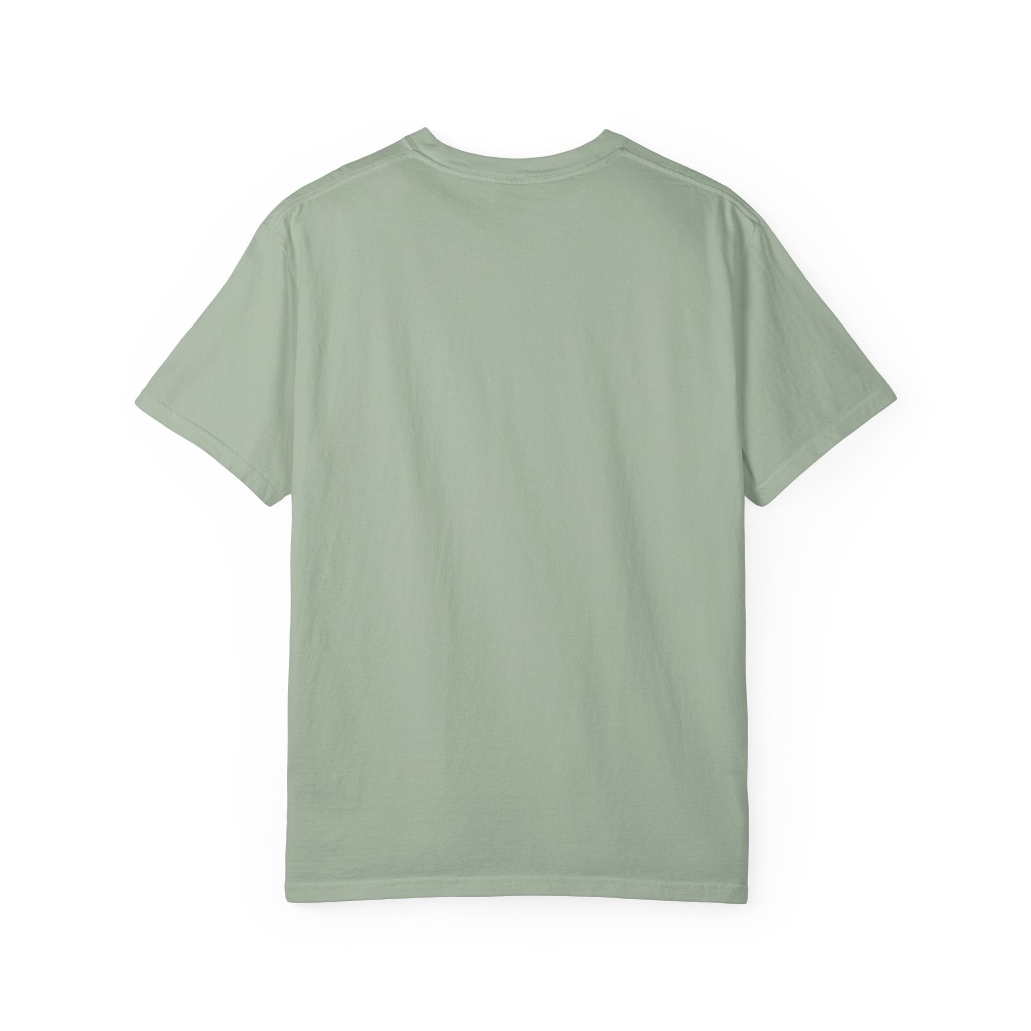 Independence 250 USA T-Shirt — 250 Years of Independence Patriotic Tee