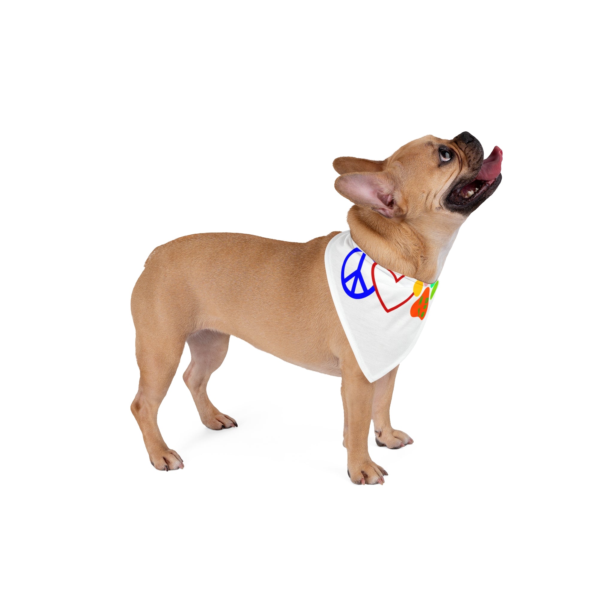 Peace Love Paw Pet Bandana — Colorful Dog & Cat Bandana