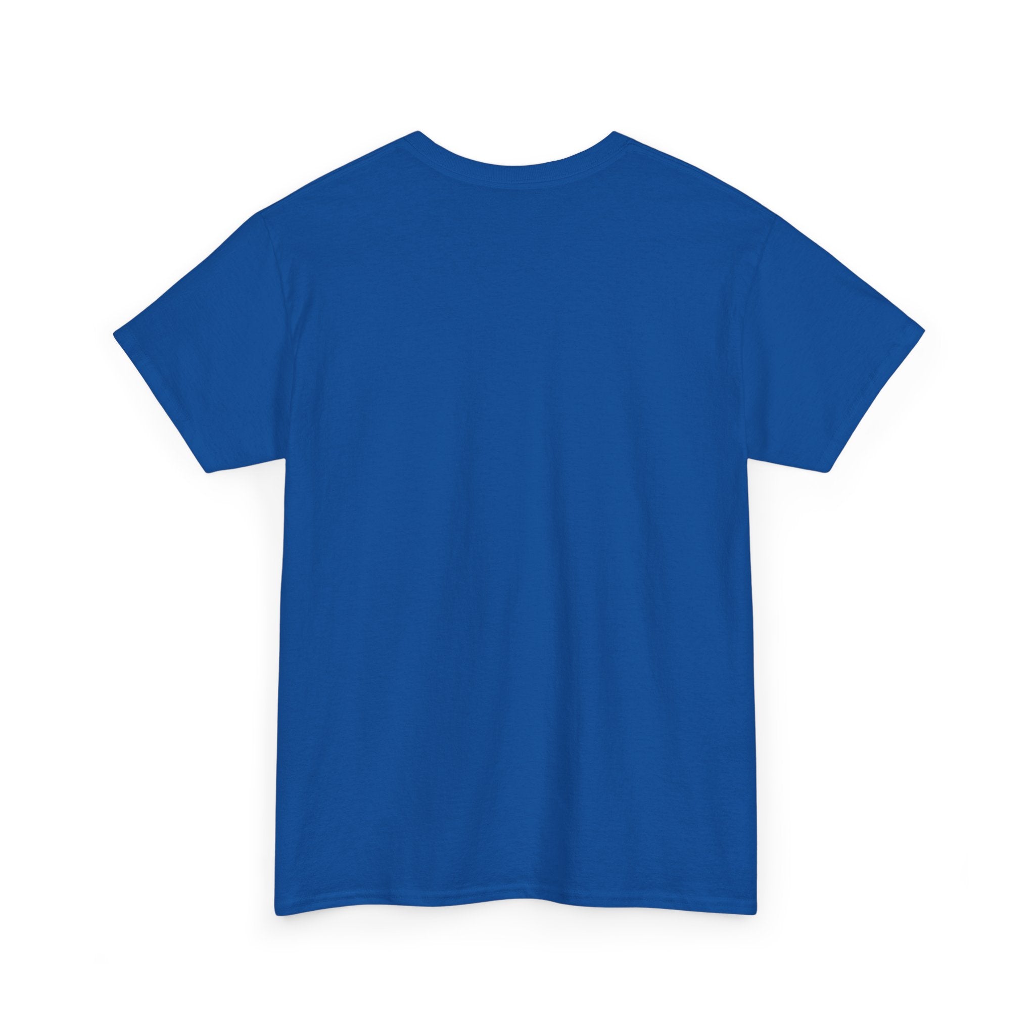 USA 250th Independence Graphic Tee — American Flag Bicentennial Celebration T-Shirt