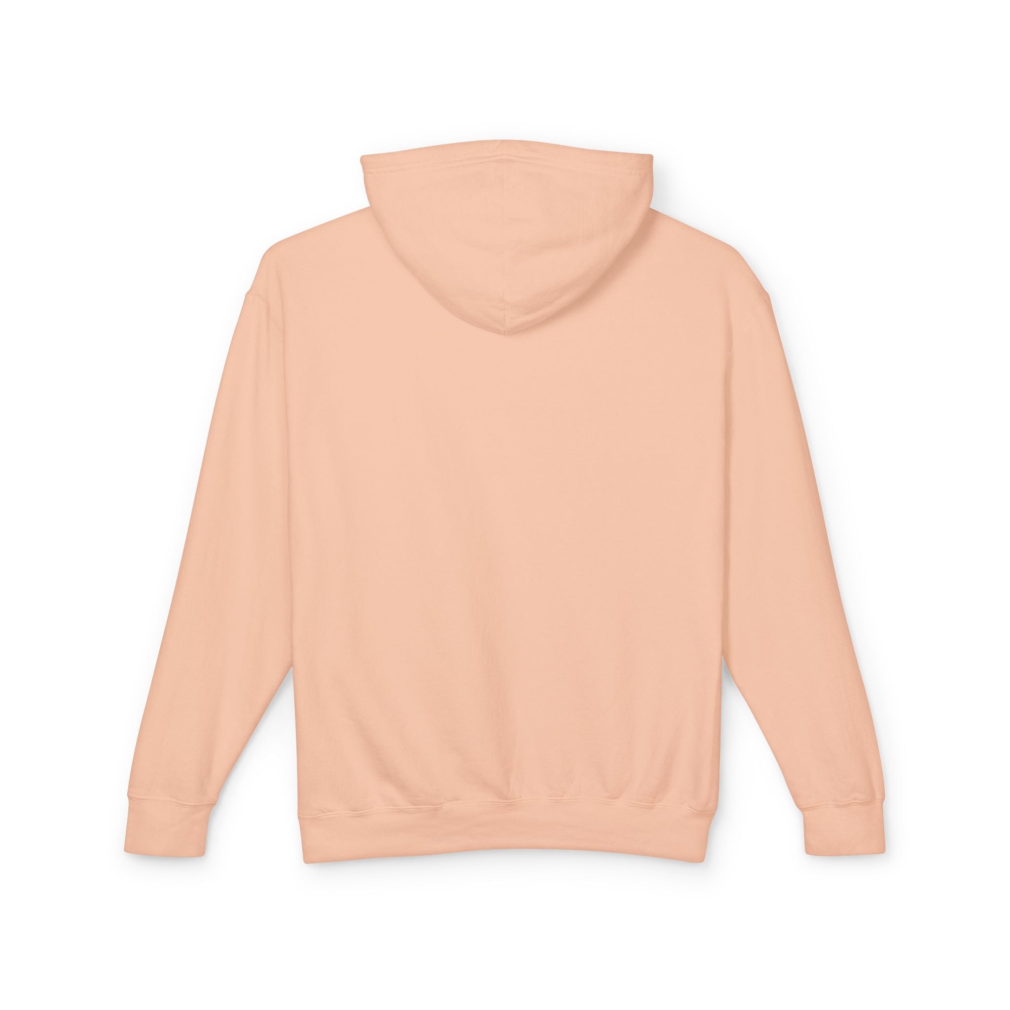 Quiet Frog & Mushroom Spectrum Hooded Sweatshirt