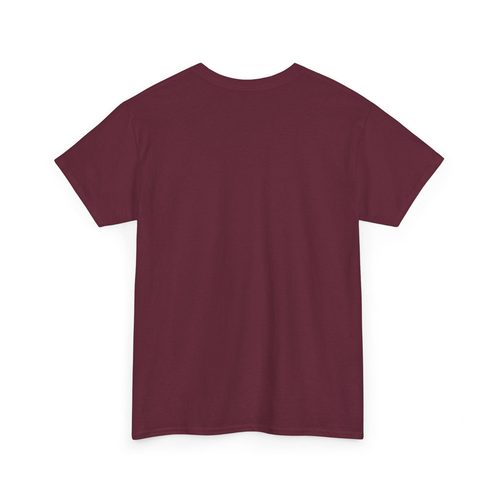 USA 250th Independence Graphic Tee — American Flag Bicentennial Celebration T-Shirt